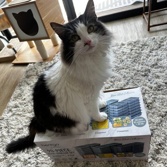 Bentgo 90-Piece Prep Food Storage Set - Picture 6 of 7